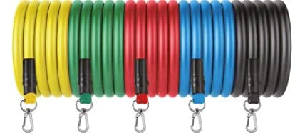 Bandas elásticas Multi PRO fitness + bolsa GRATIS